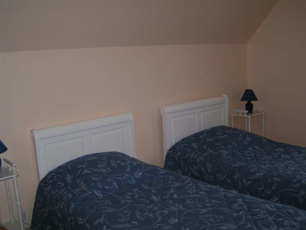 Althaea Bed & Breakfast La Ferté-Saint-Cyr Dış mekan fotoğraf