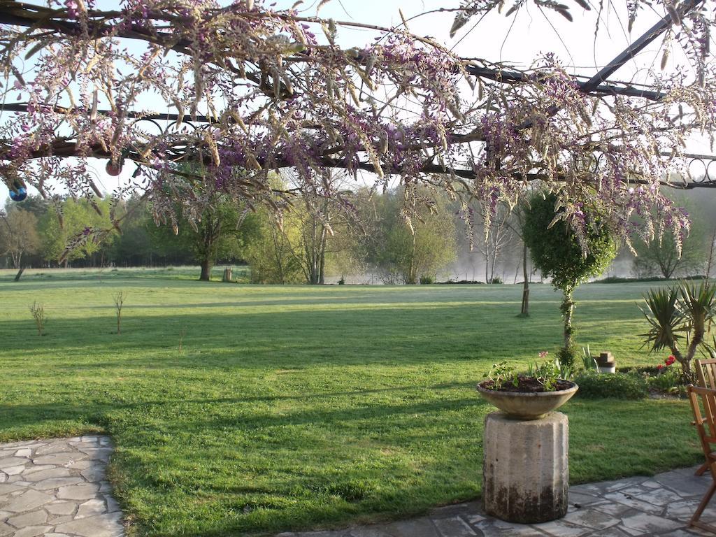Althaea Bed & Breakfast La Ferté-Saint-Cyr Dış mekan fotoğraf
